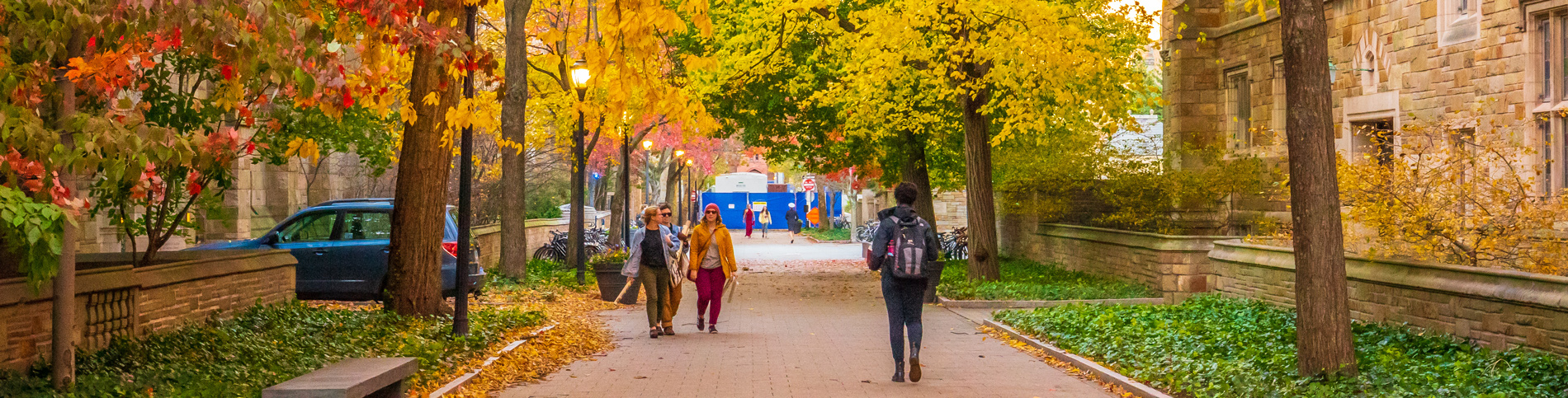Students walking along a college path with autumn leaves all around