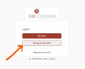 Screenshot of signing in with SSO