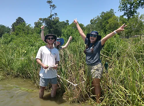 Three students spend the day working in a local marshy area.